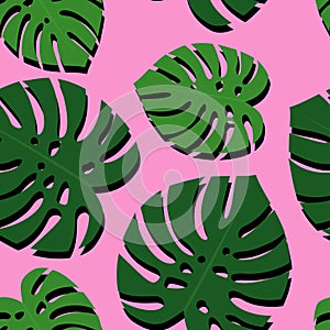 Tropical monstera leaves seamless pattern on pink background. Green palm leaves background.