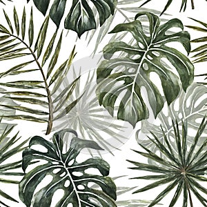 Tropical monstera and palm leaves seamless pattern. Watercolor green exotic plant repeat print. Summer hawaiian wallpapers