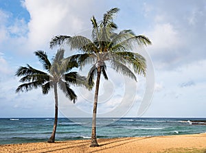 Tropical Morning on Poipu Beach located on the Island of Kauai.