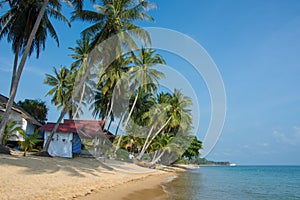 Tropical morning sand beach with coconut palm trees with clear blue sky. Thailand, Samui island, Maenam