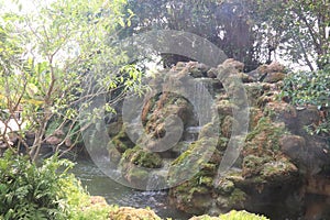 Tropical Moss Garden Waterfall with Mist Effect