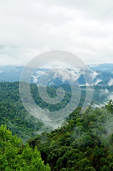 Tropical mountain range view. View of Moving Clouds And Fog over Titiwangsa mountain range . View of High Humidity Jungle