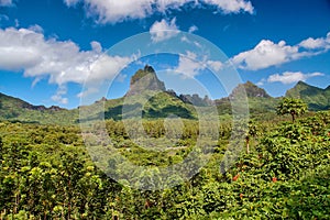 Tropical mountains landscape in the island of Moorea, French Polynesia.