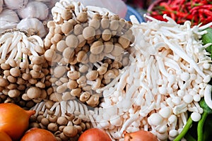 Tropical mushrooms on a market stall