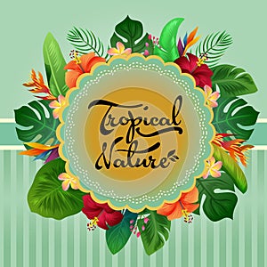 Tropical nature card summer colored leaves decoration