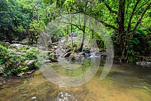 Tropical nature in sarika waterfall at nakhon nayok, Thailand