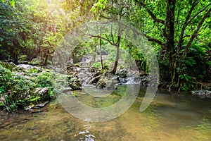 Tropical nature in sarika waterfall at nakhon nayok, Thailand