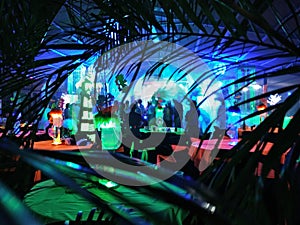 Tropical Neon Party