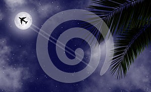 Tropical night banner background. Tropical palm leaves and and a flying plane on the blue night sky on the island.