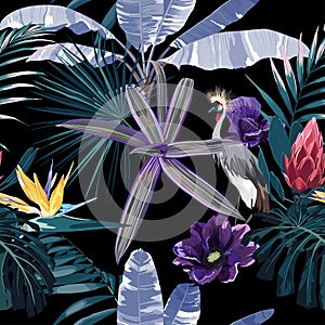 Tropical night vintage wild birds pattern, palm tree, palm leaves and flowers seamless border on black background.