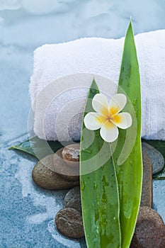 Tropical objects and whitel towel for Spa massage treatment