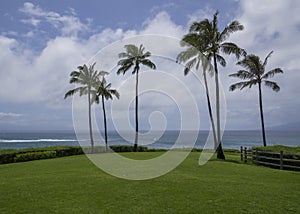 Tropical ocean resort with breaking waves