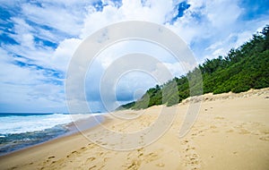 Tropical ocean view with vegetation in Mozambique coastline