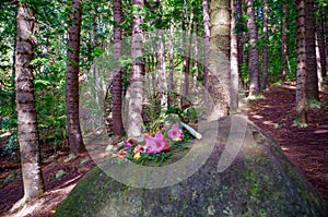 Offering on Sleeping Giant, Nounou Forest Reserve, Kauai, Hawaii, USA photo