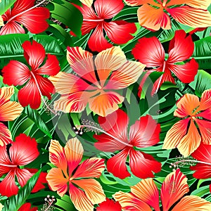 Tropical orange and red variegated hibiscus flowers seamless pat