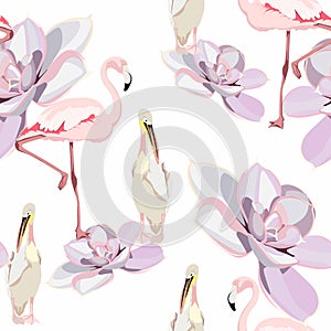 Tropical orchid, exotic succulent flowers, pelican flamingo bird floral seamless pattern, white background.