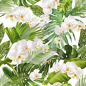 Tropical orchid leave pattern