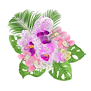 Tropical Orchids Cymbidium pink and Phalaenopsis flowers and Monstera and palm on a white background vintage vector illustratio