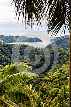 Tropical Pacific coast. Costa Rica