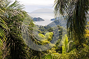 Tropical Pacific coast. Costa Rica
