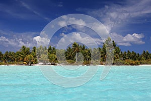 Tropical Palm Beach on Christmas Island, Kiribati