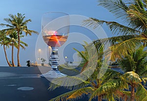 Tropical palm branch  blue night  glass of wine  on restaurant table at pier sea port of Tallinn Promenade