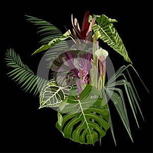 Tropical palm, branches and exotic leaves composition over white. Japanese new year flower.