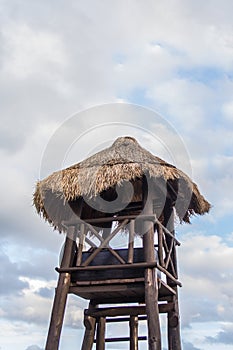 Tropical Palm Hut photo