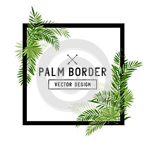 Tropical Palm Leaf Border Vector