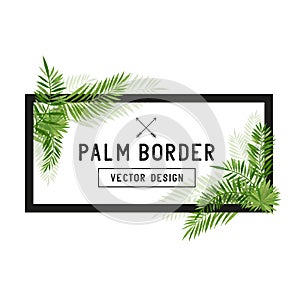 Tropical Palm Leaf Border Vector