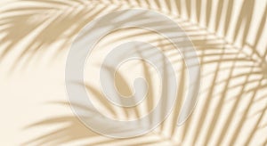 Tropical palm leaf shadows on a tan background