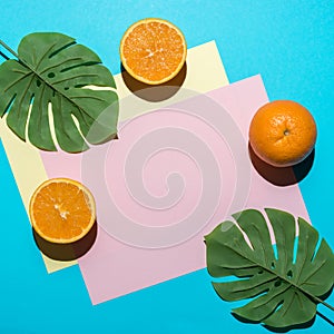 Tropical palm leaf with sliced orange on bright blue background. Minimal summer composition. Flat lay