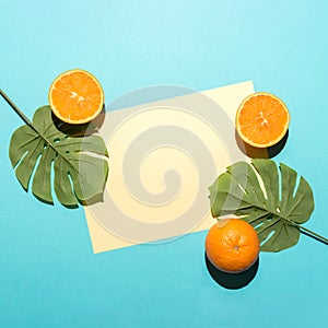 Tropical palm leaf with sliced orange on bright blue background. Minimal summer composition. Flat lay