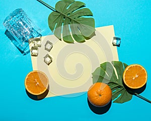Tropical palm leaf with sliced orange on bright blue background. Minimal summer composition. Flat lay