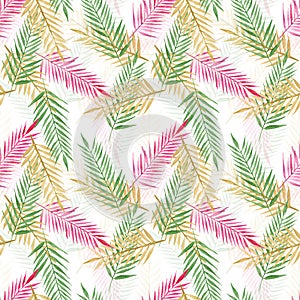 Tropical palm leaves