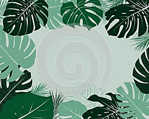 Tropical palm leaves background