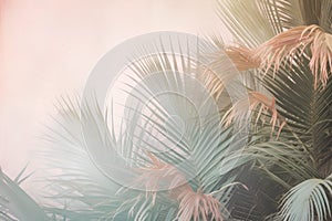 Tropical palm leaves background. Retro style toned picture.