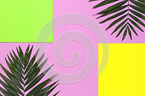 Tropical palm leaves on bright yellow green pink background. Flat lay, top view, copy space. Summer background, nature. Creative