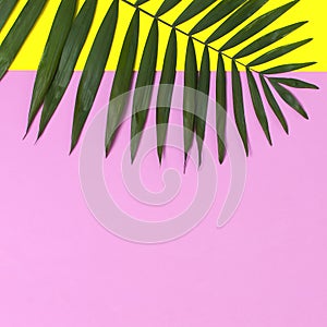 Tropical palm leaves on bright yellow pink background. Flat lay, top view, copy space. Summer background, nature. Creative minimal