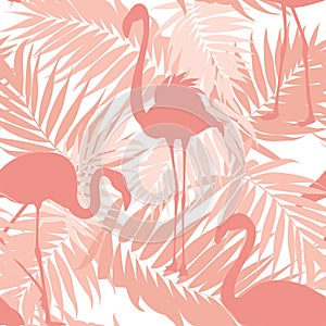 Tropical palm leaves exotic flamingo birds pink