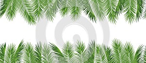 Tropical palm leaves frame botanical vector illustration