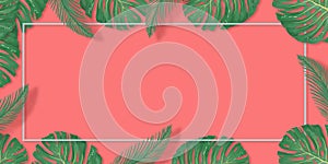 Tropical palm leaves frame on coral backdrop. Summer tropical leaf. Exotic hawaiian jungle, summertime background. Pastel