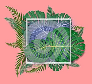 Tropical palm leaves frame on coral backdrop. Summer tropical leaf. Exotic hawaiian jungle, summertime background. Pastel