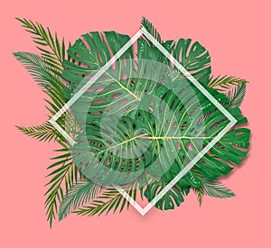 Tropical palm leaves frame on coral backdrop. Summer tropical leaf. Exotic hawaiian jungle, summertime background. Pastel