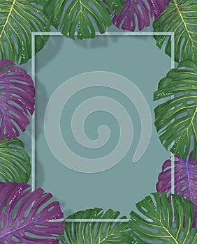 Tropical palm leaves frame on coral backdrop. Summer tropical leaf. Exotic hawaiian jungle, summertime background. Pastel