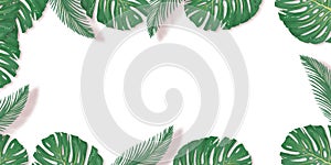 Tropical palm leaves frame on white backdrop. Summer tropical leaf. Exotic hawaiian jungle, summertime background. Pastel