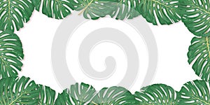 Tropical palm leaves frame on white backdrop. Summer tropical leaf. Exotic hawaiian jungle, summertime background. Pastel