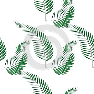 Tropical palm leaves, jungle leaf seamless floral pattern background.