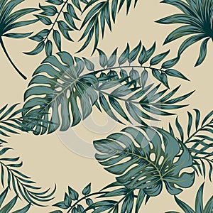 Tropický palma listy džungľa listy bezšvový vektor vzor 