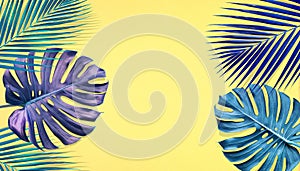 Tropical palm leaves and monstera with copy space on pastel color